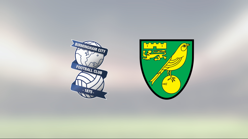 Mathias Kvistgaarden enda målskytt när Norwich City föll