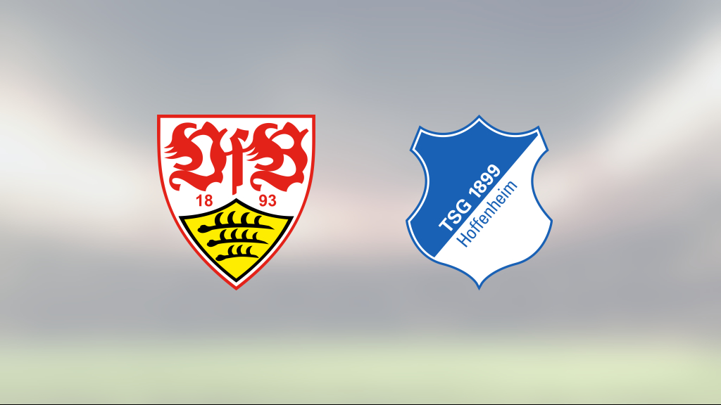 Delad pott när Hoffenheim gästade VfB Stuttgart