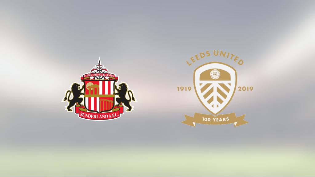 Dominic Calvert-Lewins mål gav poäng för Leeds mot Sunderland