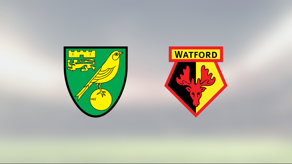 Vivaldo Semedo gjorde avgörande målet för Watford mot Norwich City