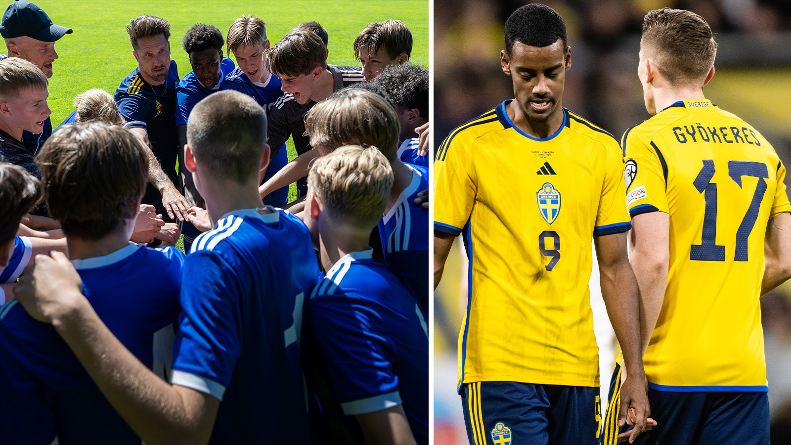 ”Nisse” Johanssons kritik: ”Jag är rädd”