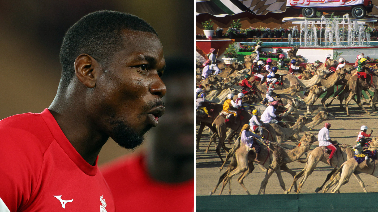 Paul Pogba investerar i saudisk kamelracing