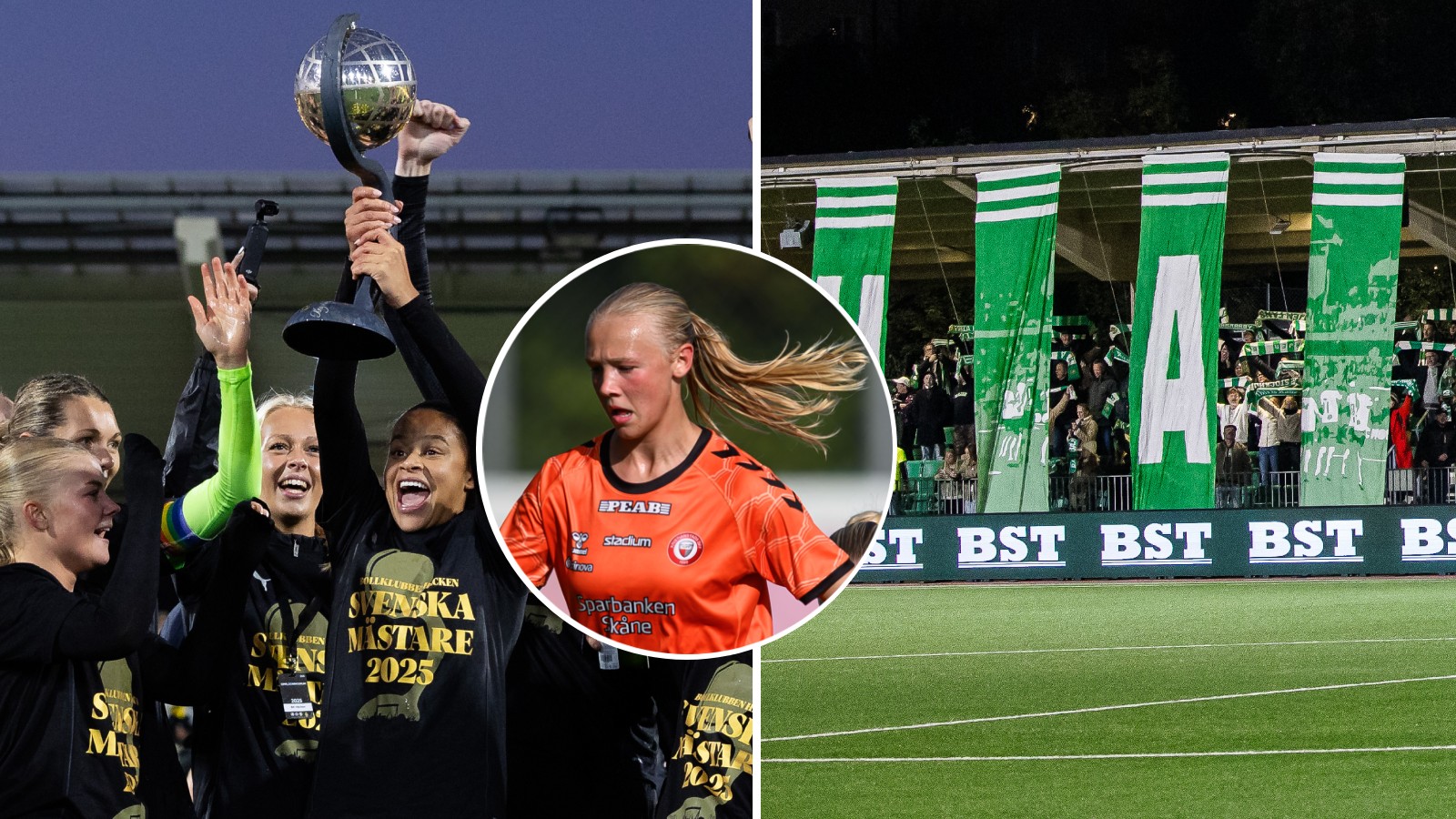 STAFHAMMAR: Det vill jag se i damallsvenskan 2026