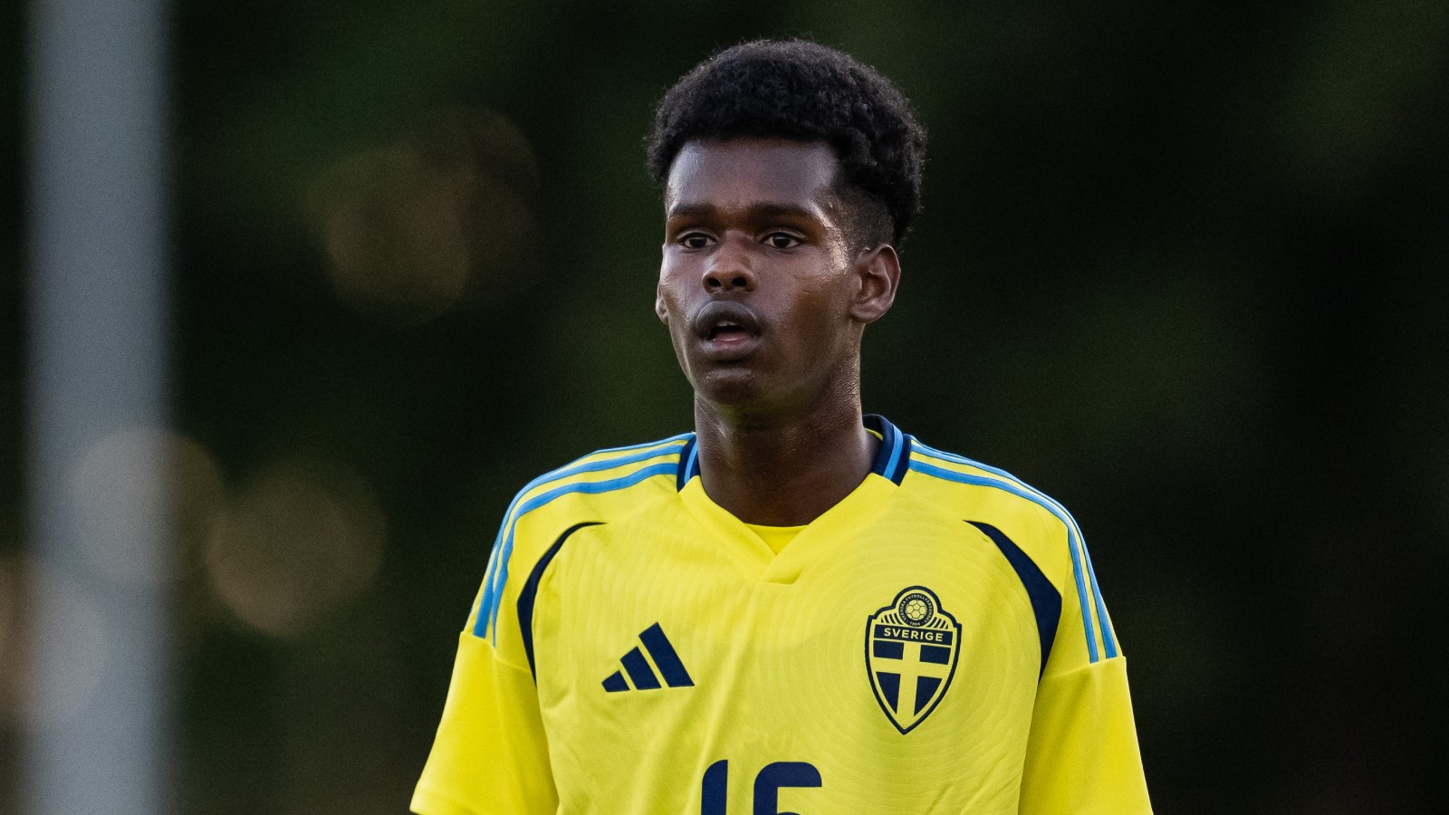 Klart: Svensk talang klar för tysk toppklubb