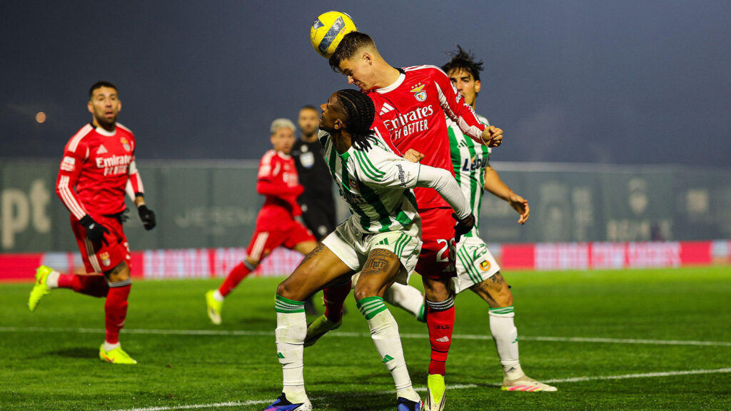 Vila do Conde, Porto, Portugal. 17 januari 2026. Samuel Dahl från SL Benfica i aktion under Liga Portugal-matchen mellan Rio Ave och SL Benfica på Estadio dos Arcos i Porto, Portugal, den 17 januari 2026.