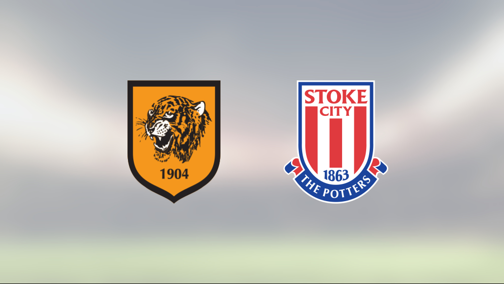 Robert Bozenik matchhjälte för Stoke City mot Hull