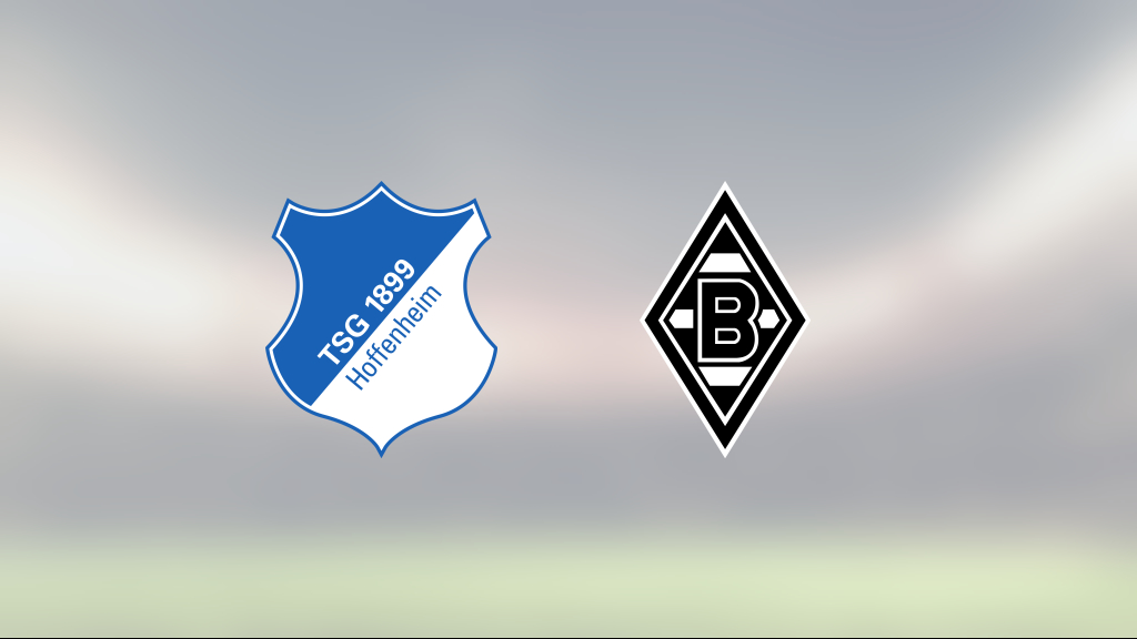 Shuto Machinos mål räckte inte för Mönchengladbach mot Hoffenheim