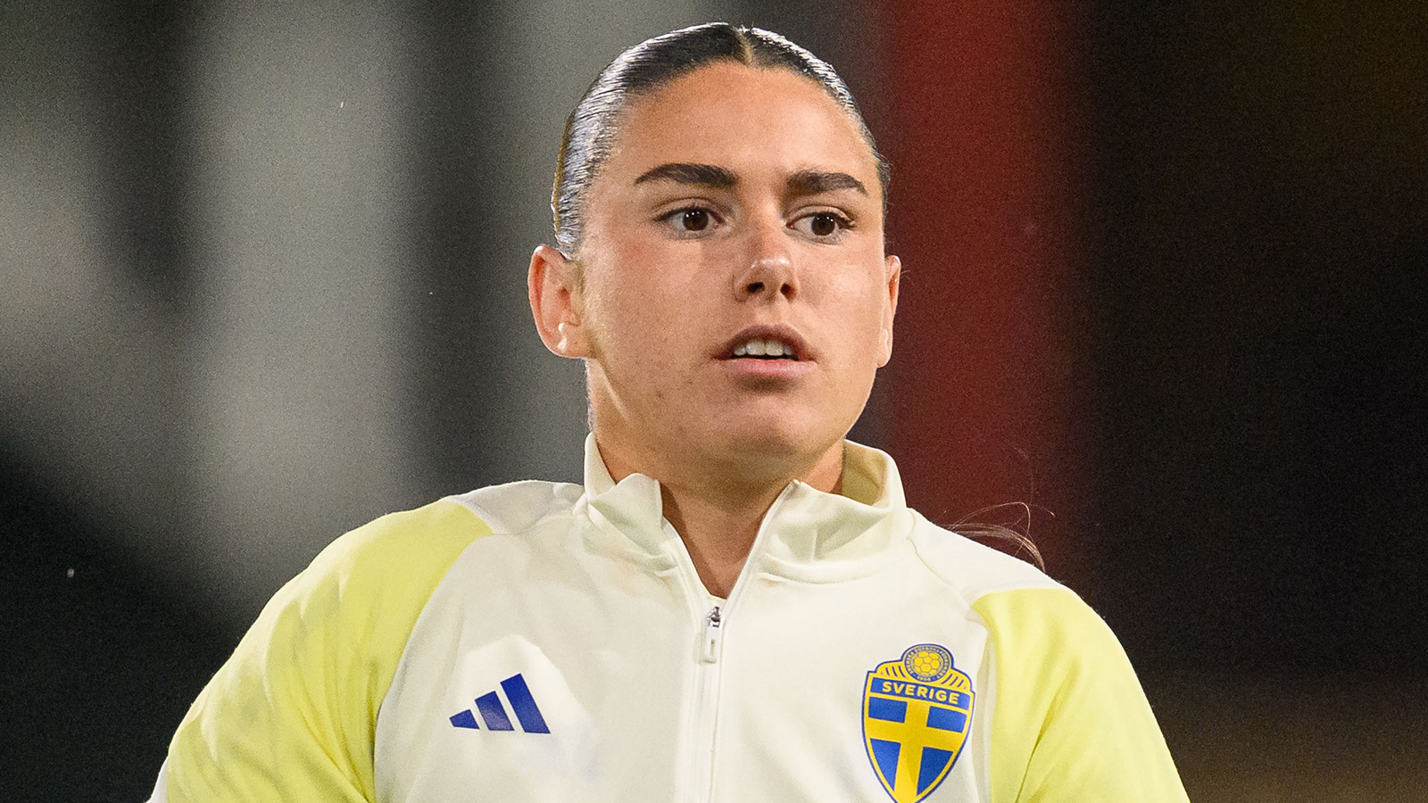 Klart: Pelgander lånas ut till dansk klubb