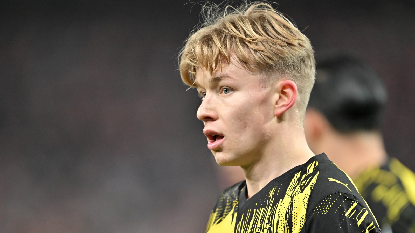 Uppgifter: Så mycket kräver Dortmund för Daniel Svensson