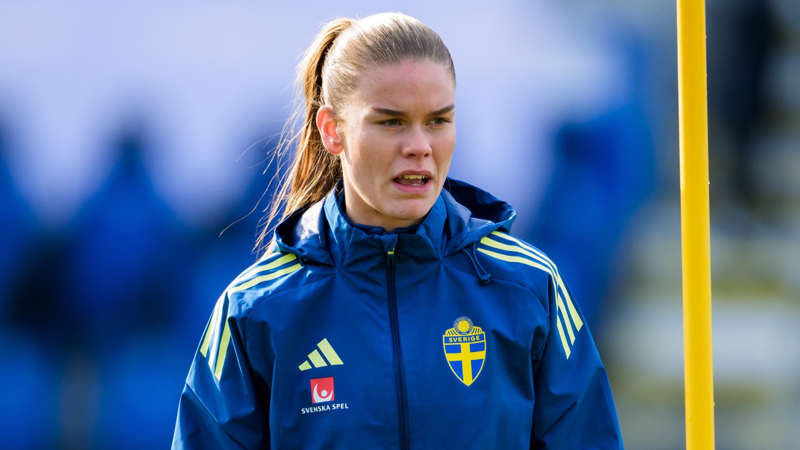 Uppgifter: Liverpool vill värva My Cato – har gjort försök