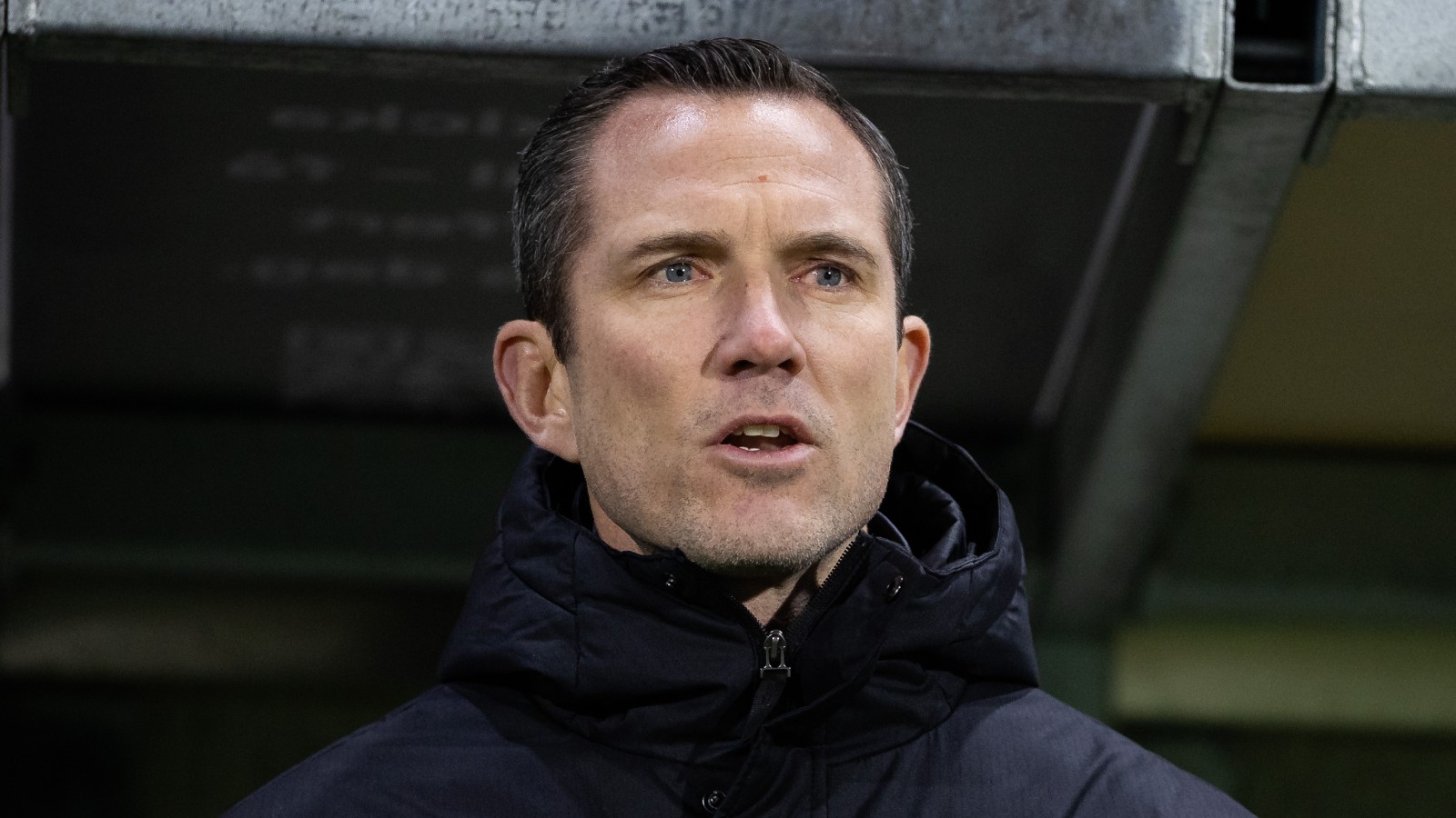 Uppgifter: Häcken intresserade av svenskdoldis