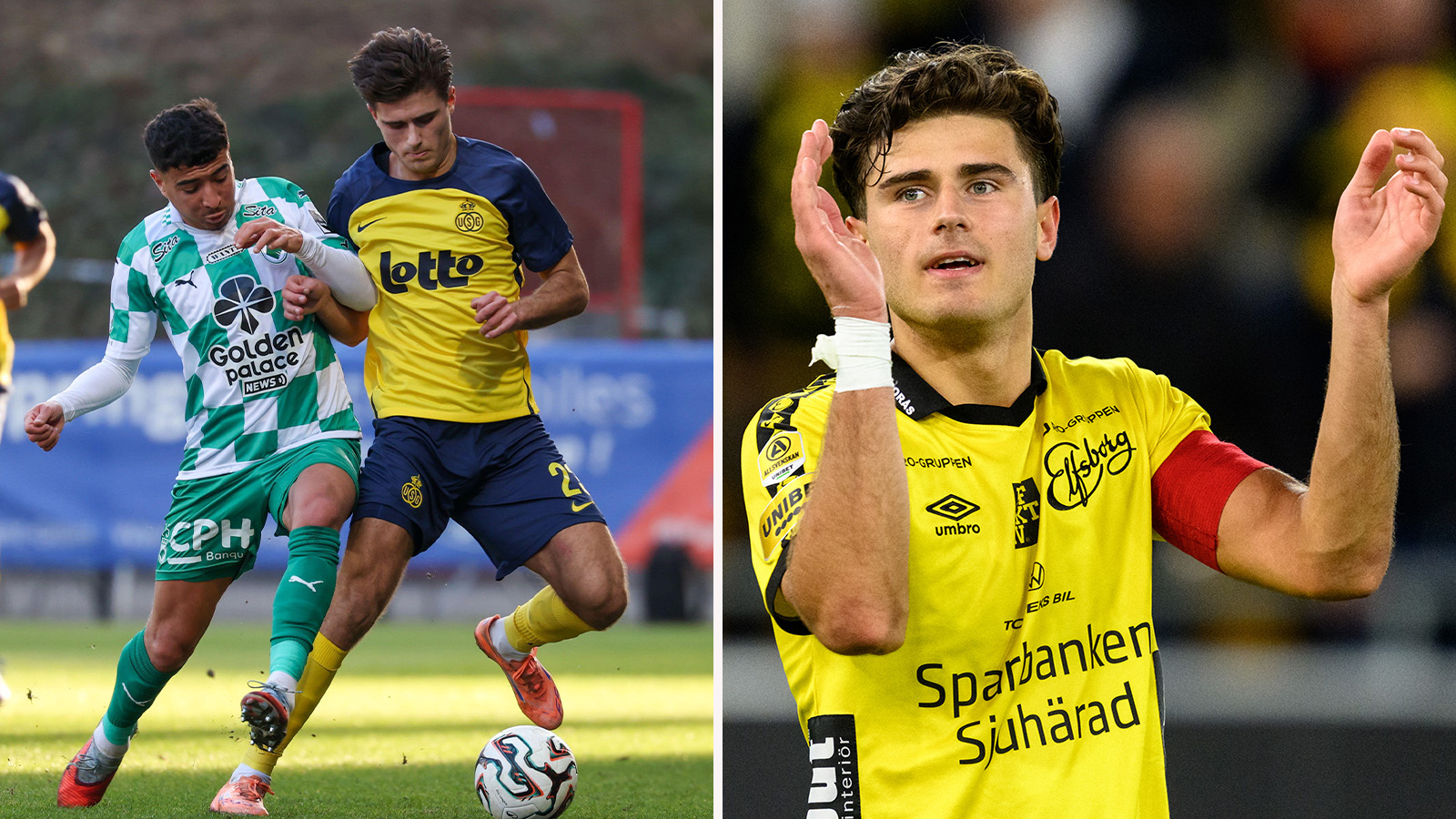 Zenelis liv i Belgien: ”Många språk att hålla koll på”