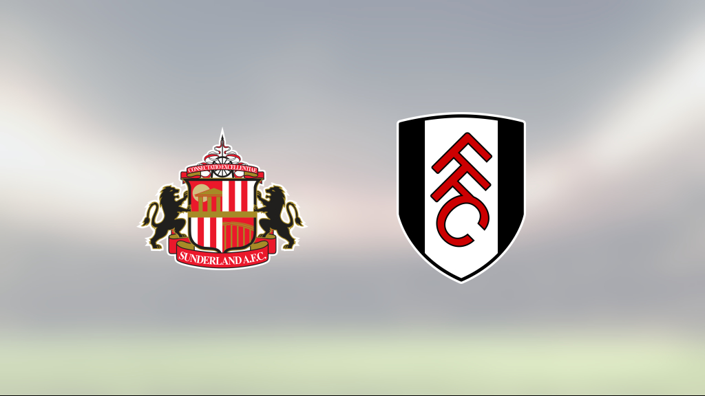 Två mål för Raul Jimenez när Fulham besegrade Sunderland