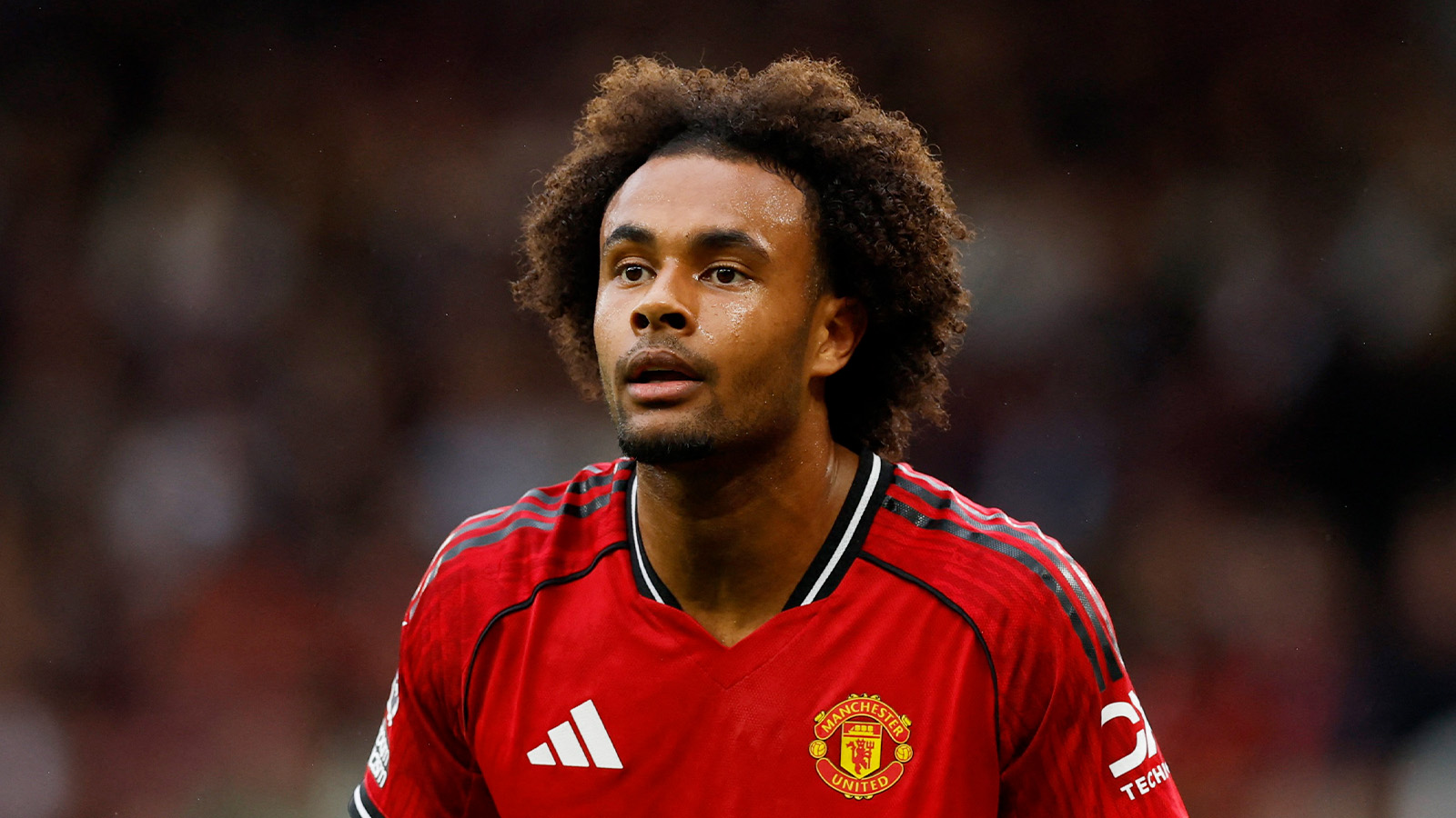 Uppgifter: Juventus intresserade av Zirkzee