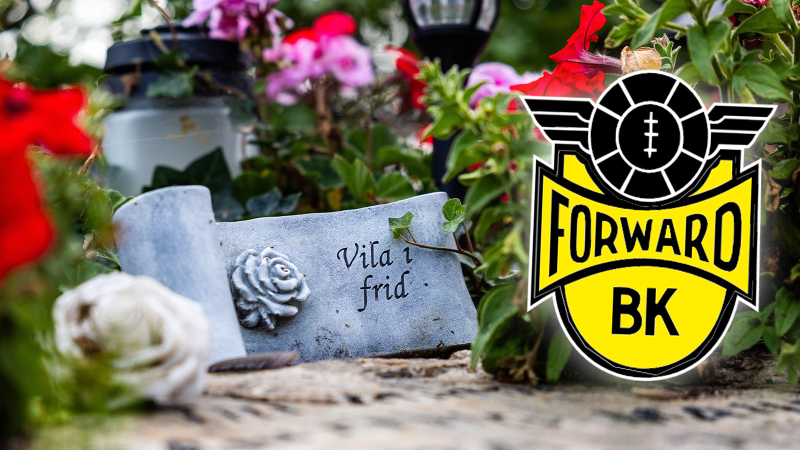 BK Forward-spelare sköts ihjäl: ”I år skulle bli hans år”