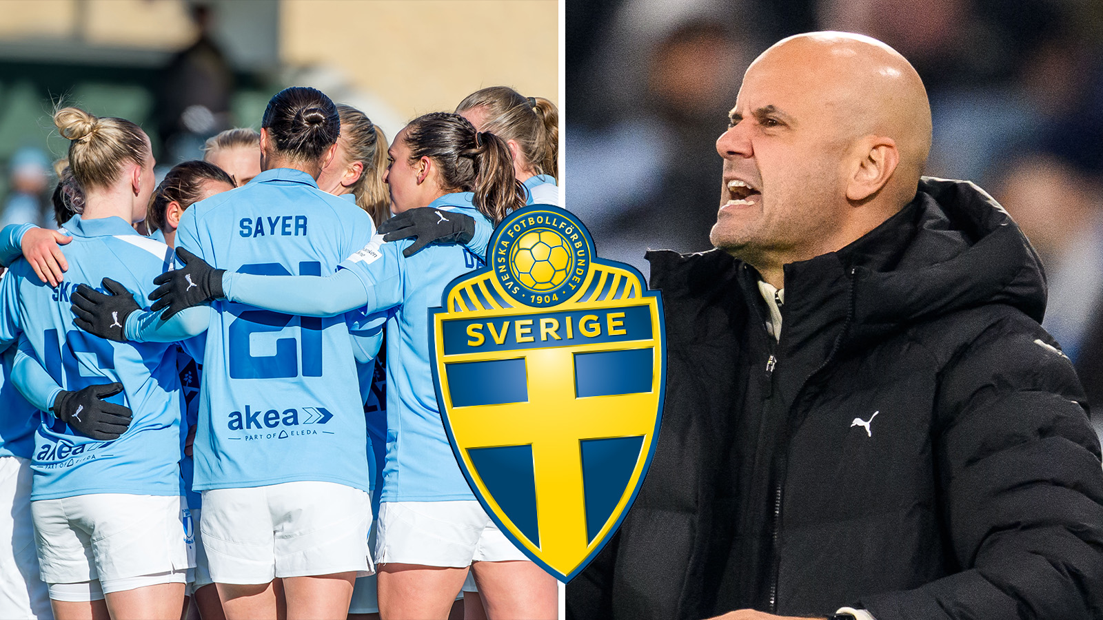 MFF:s känga mot förbundet: ”Damfotbollen försummas”