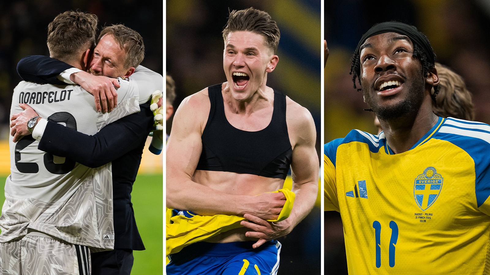 SPELARBETYG: Bästa svenskarna när VM-drömmen blev sann