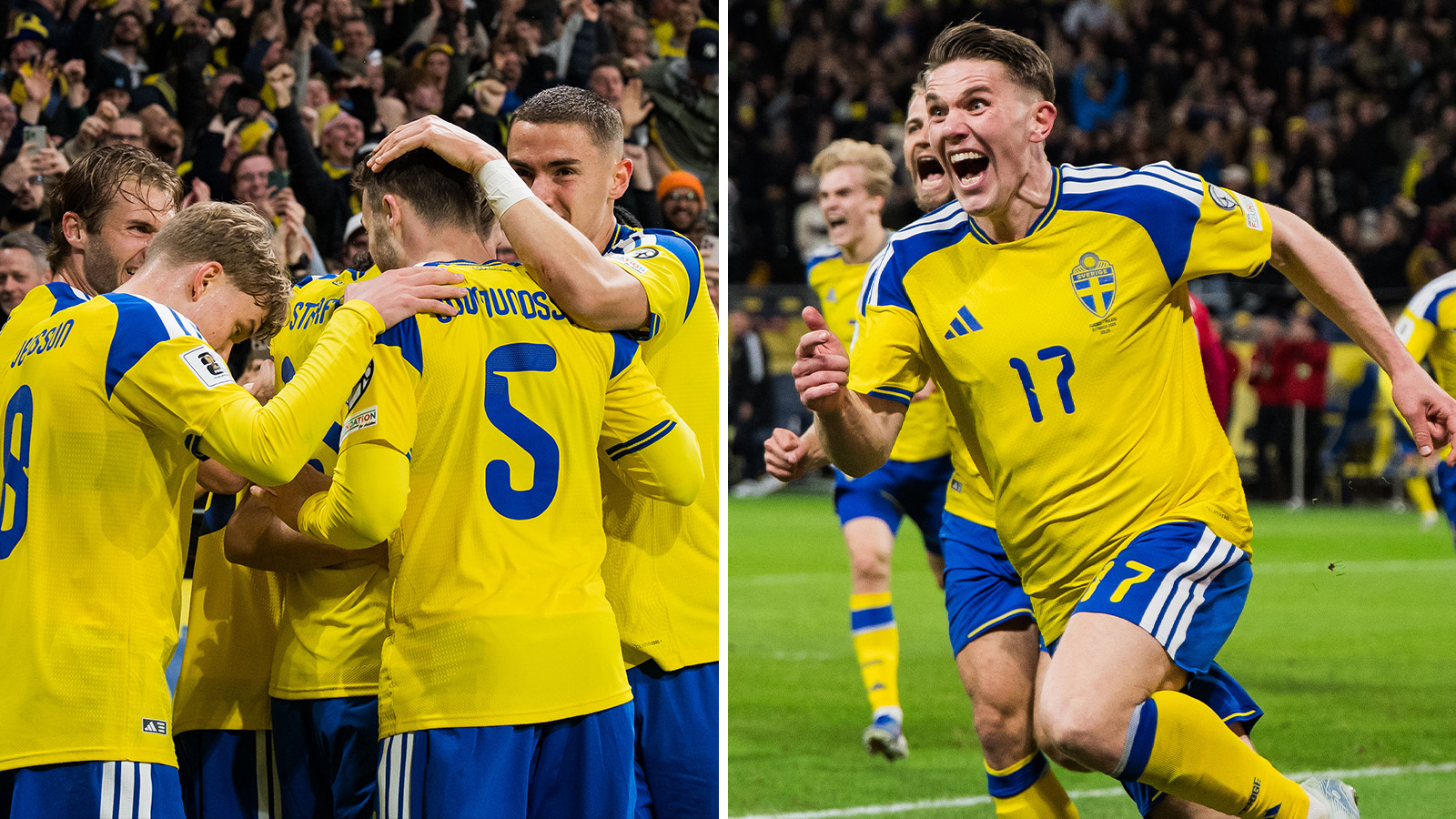 JUST NU: Sverige klara för VM efter jättedrama mot Polen