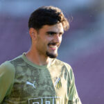 Officiellt: Häcken lånar ut Mitrovic till Utsikten