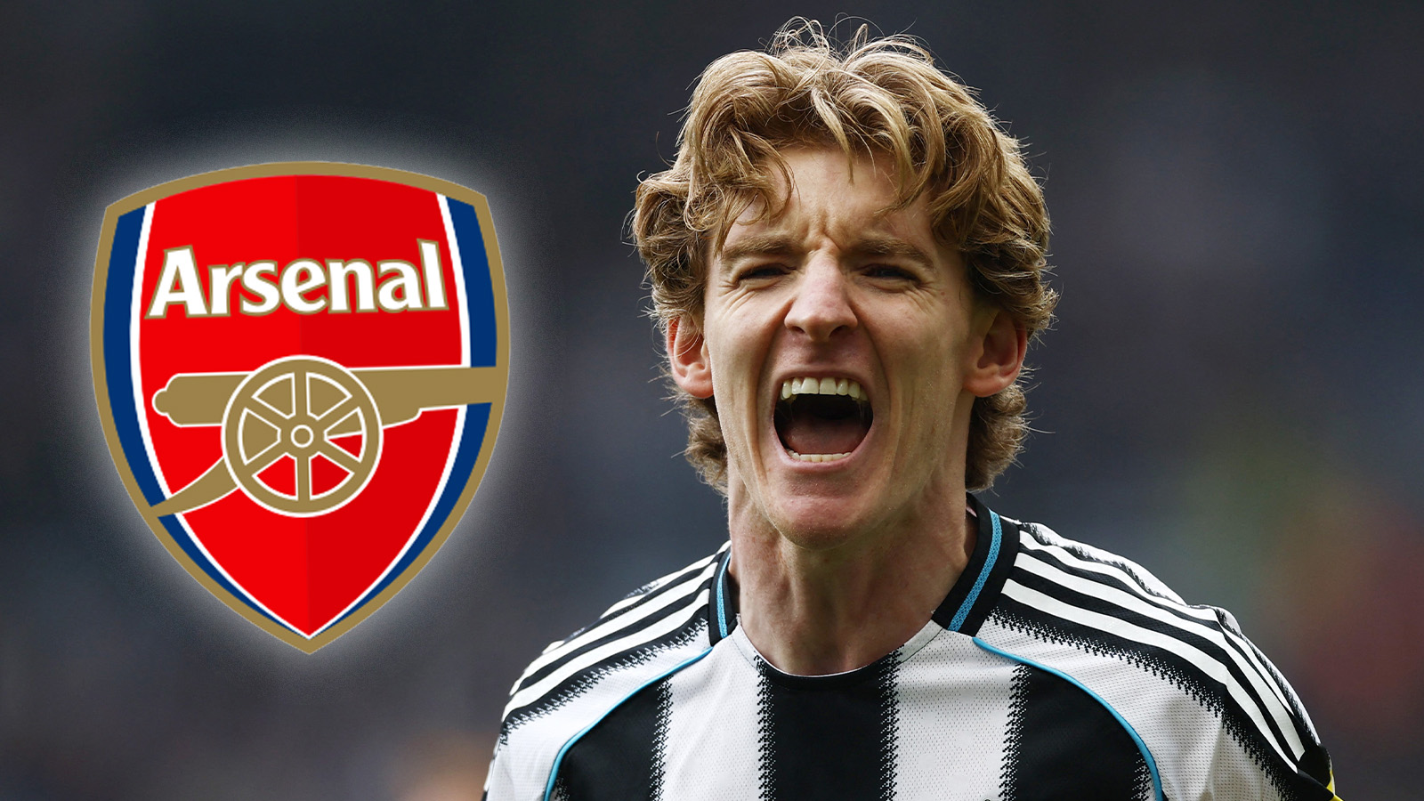 Uppgifter: Arsenal förbereder bud på Newcastle-stjärnan