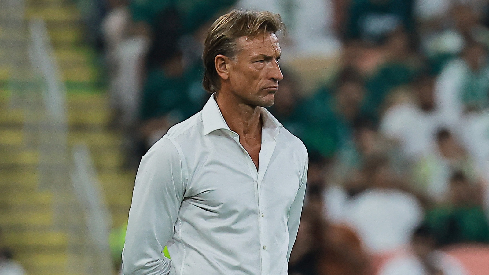 Saudiarabien sparkar förbundskaptenen Renard