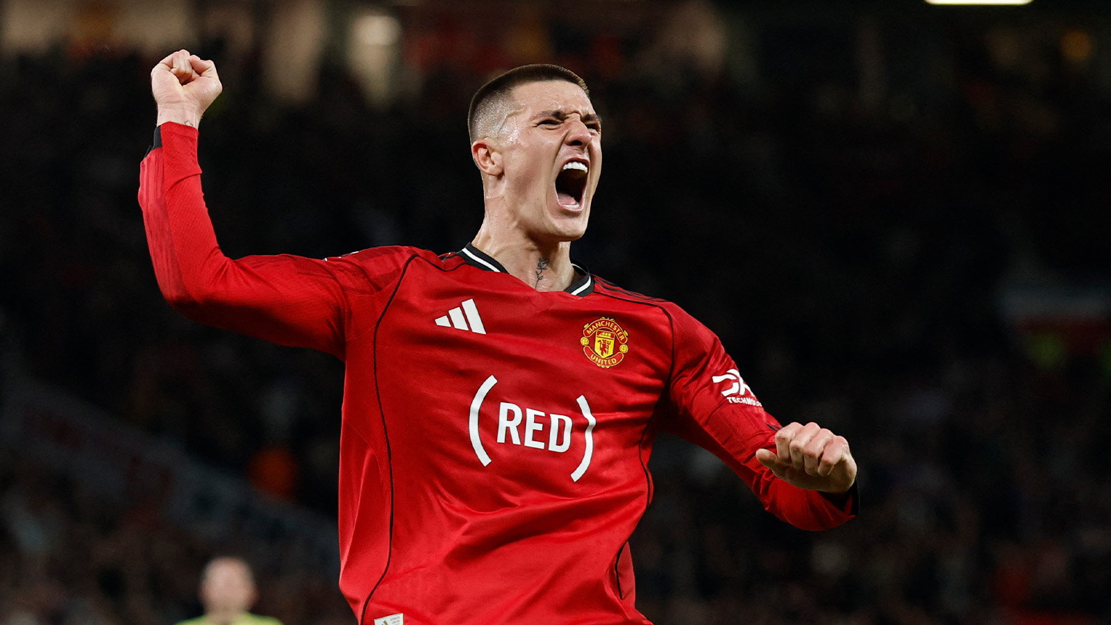 Uppgifter: Kostnaden för Sesko ökar