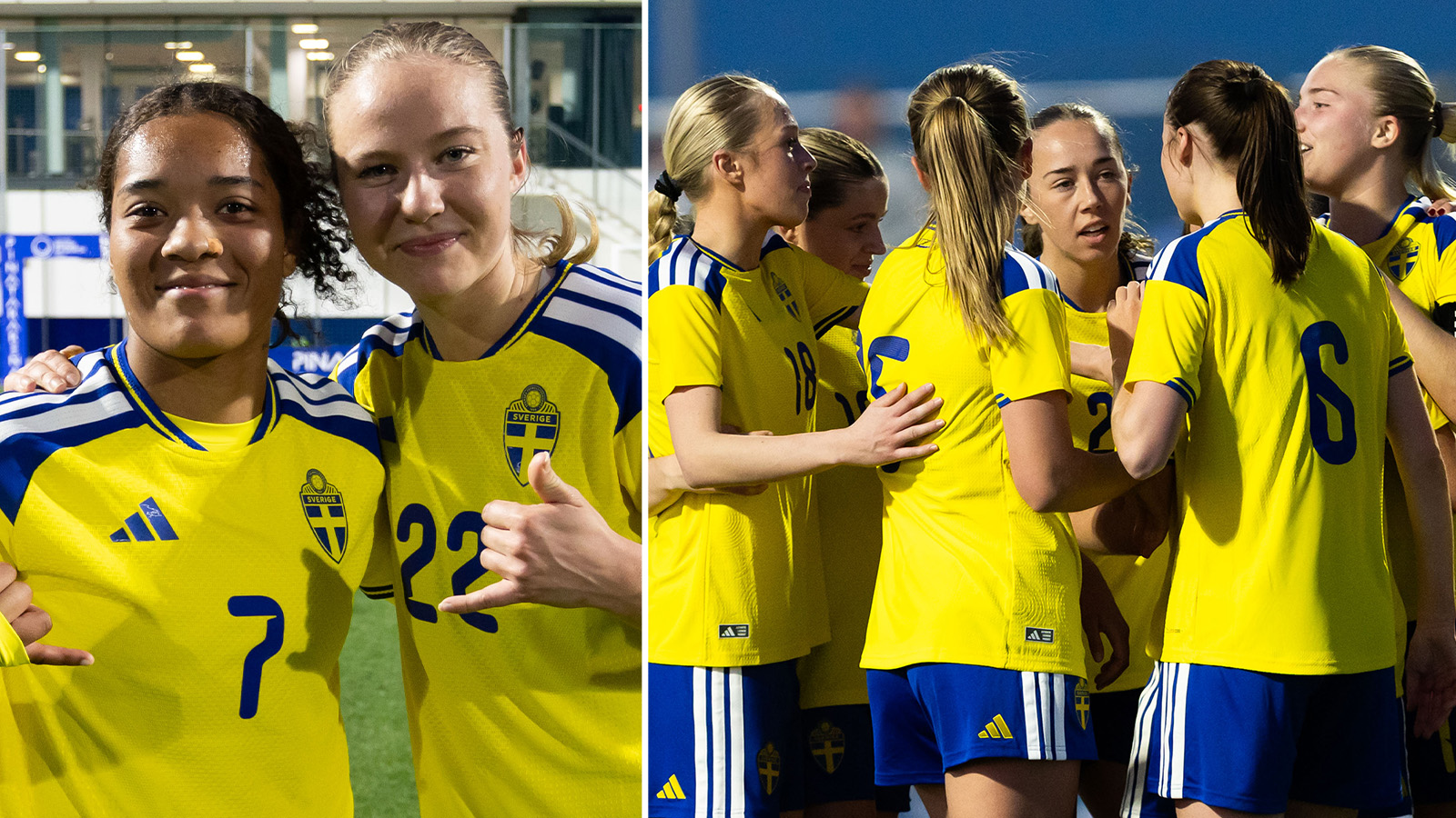 Succédebut för Janzen – skickade Sverige till final