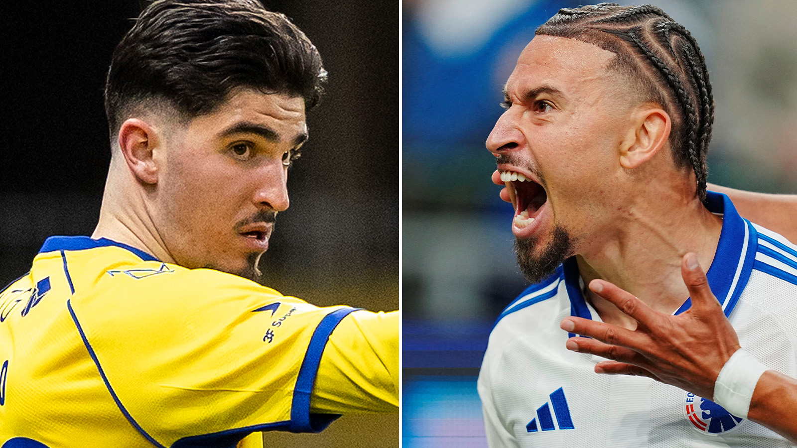 Svenska stjärnorna tokhyllas: ”Blir inte bättre än så”