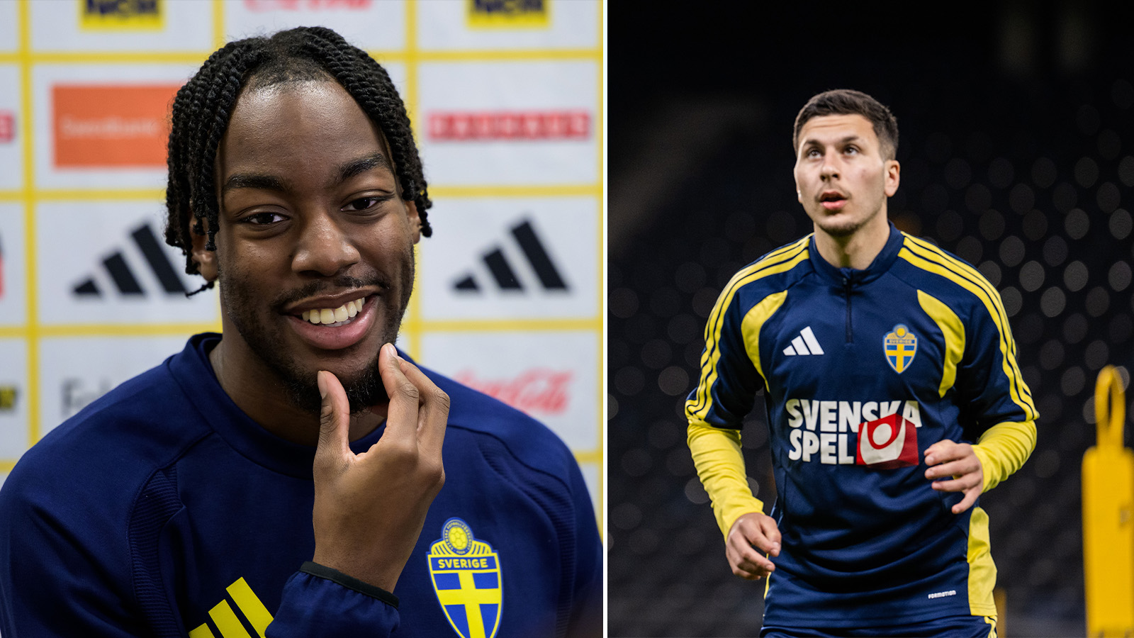 Försvarar Potter: ”Vill aldrig vara i hans position”