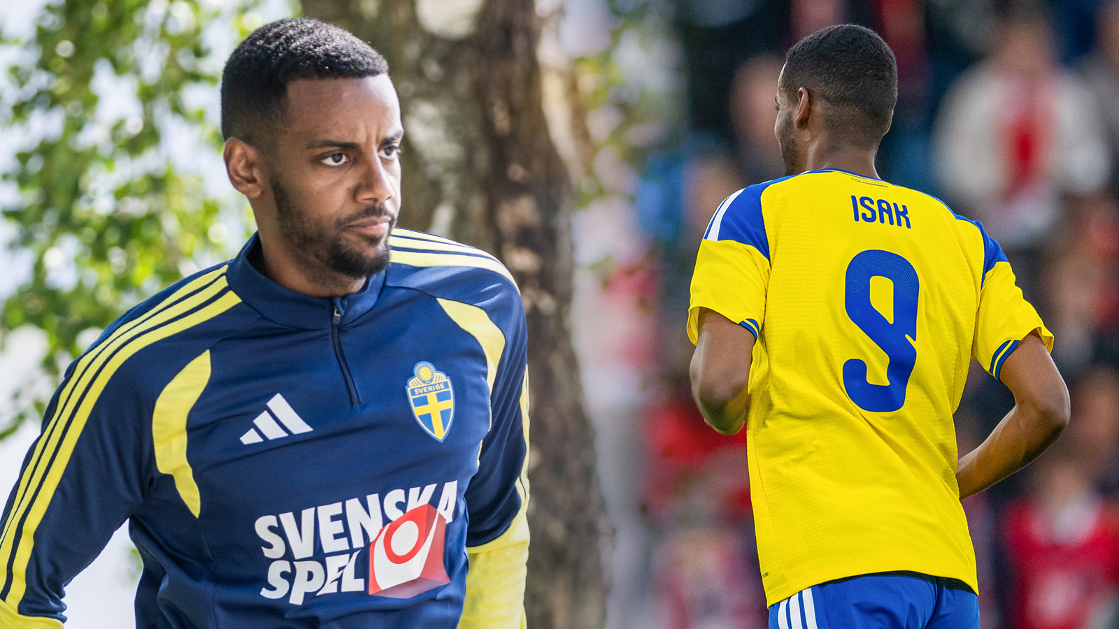 ”Vill se tillbaka på VM som karriärens bästa upplevelse”