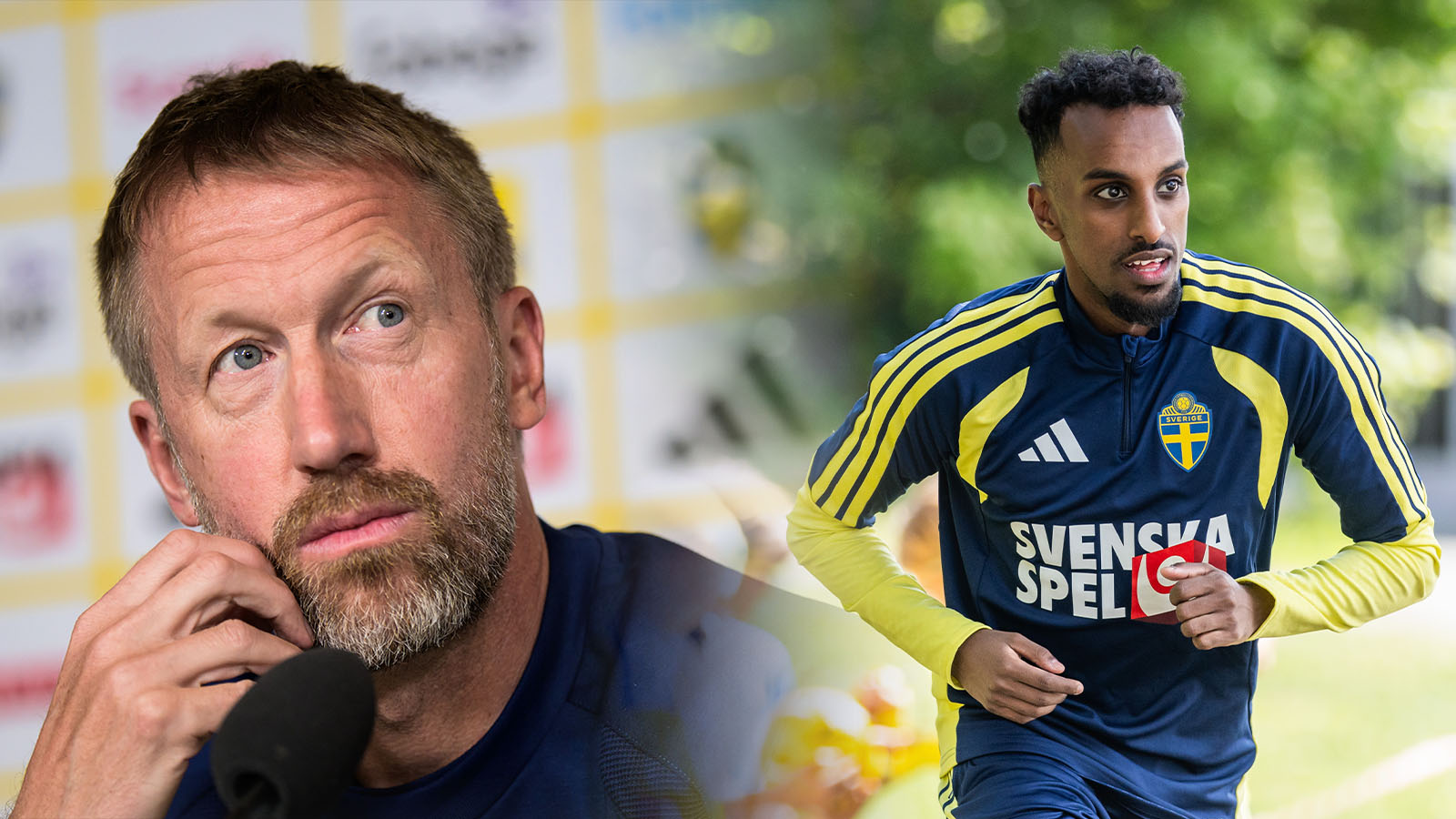 Jättehajp bland somalier efter Potters besked: ”Tagit timmar att svara”