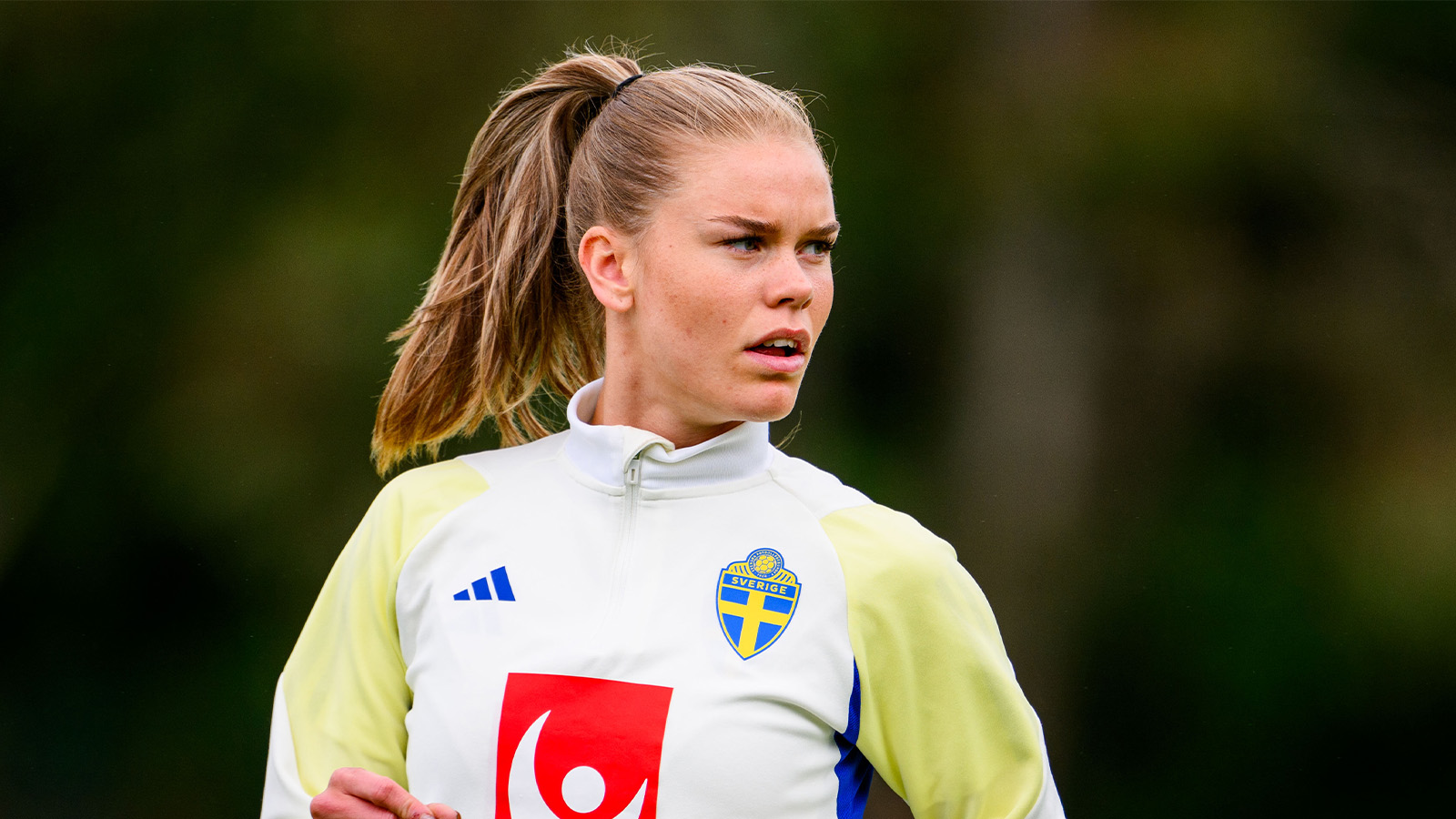 Beskedet: My Cato har dragit korsbandet
