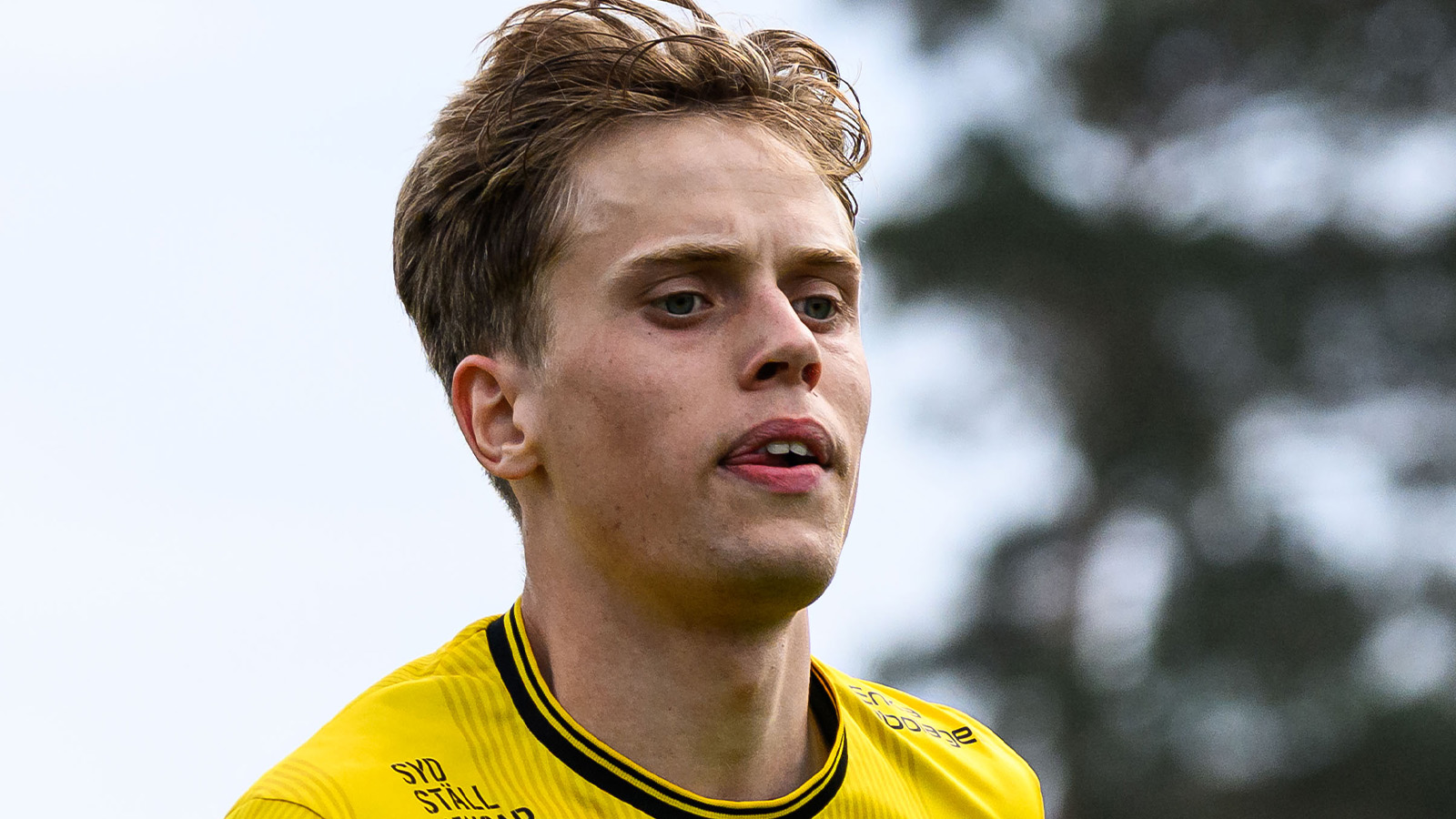 Sandvikens glädje: ”Betydande tillskott”