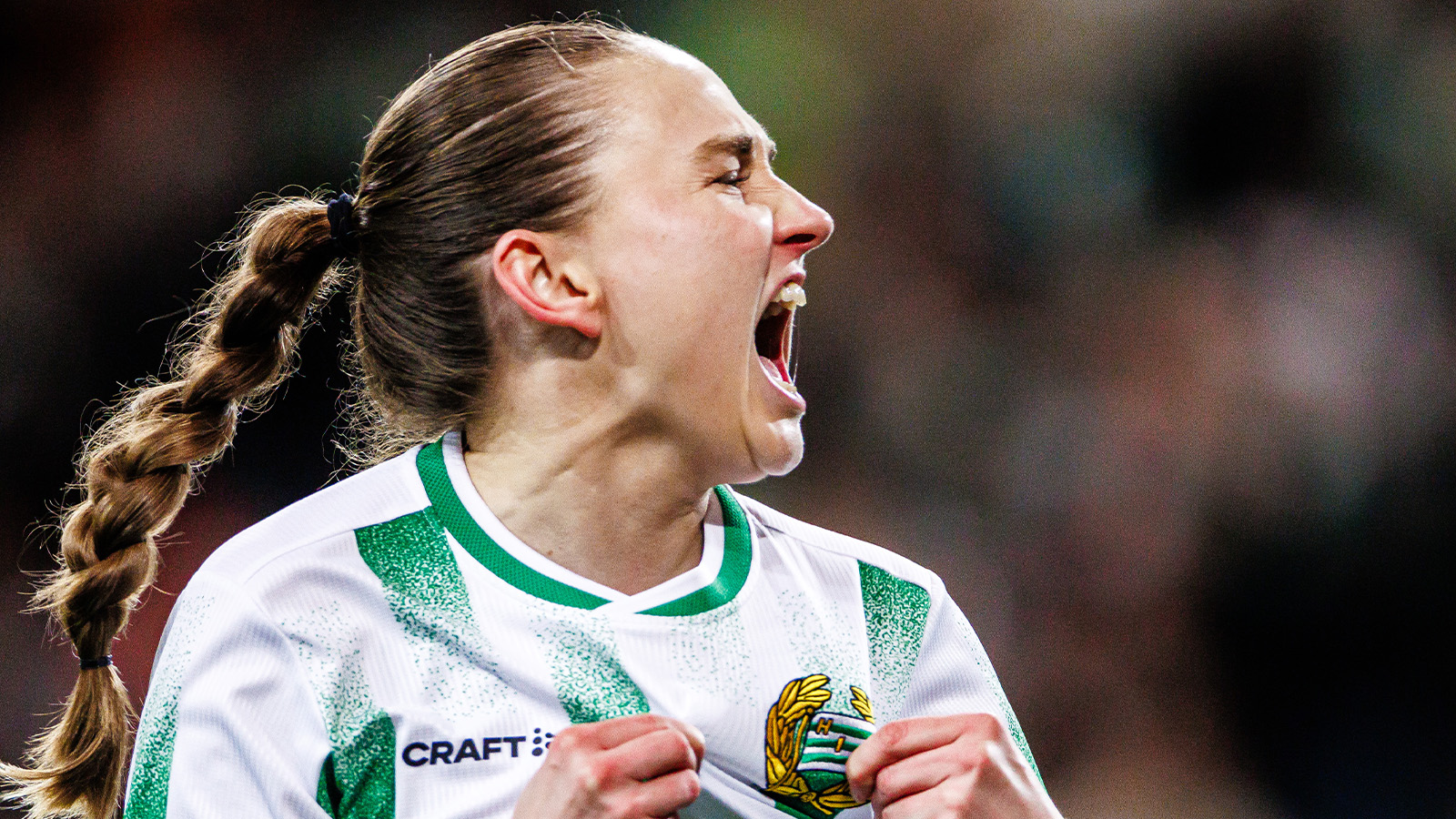 TV-guide: Här ser du Hammarby i Champions League-kvalet
