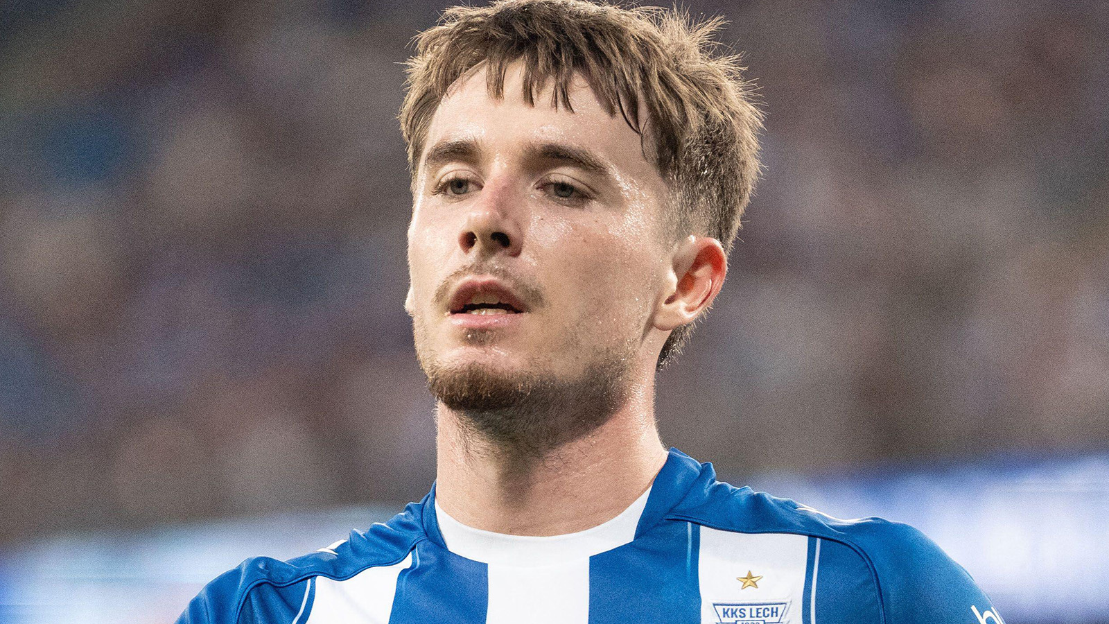 Uppgifter: Stort intresse för Patrik Wålemark